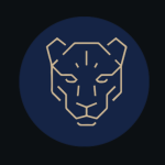 Leopard Mini Soccer